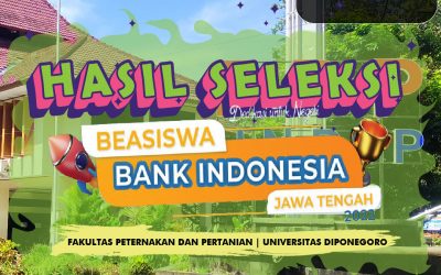 HASIL SELEKSI BEASISWA BANK INDONESIA TAHUN 2022