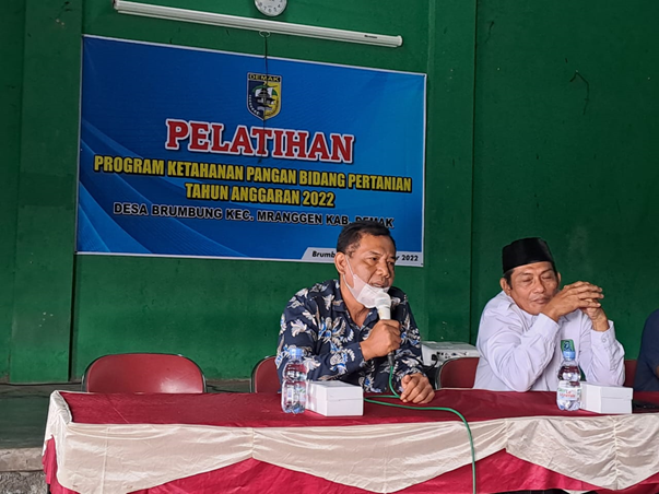 Wujudkan Program Ketahanan Pangan, Desa Brumbung, Demak menjadi Desa Binaan Prodi Agroekoteknologi UNDIP