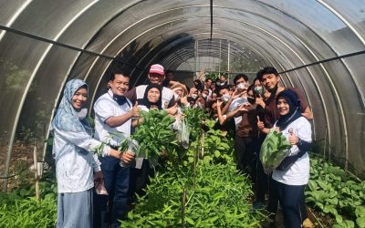 Satu Dekade S1-Agroekoteknologi Undip Meriah dengan Kegiatan Panen Sayuran