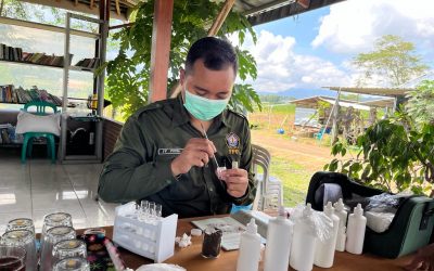 Agroekoteknologi FPP UNDIP Dampingi KWT desa Kadirejo dalam Uji Cepat Kesuburan Tanah Sawah
