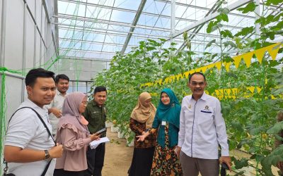 UNDIP FPP Cooperation Visit to PT. Sustainable Earth Gardens (The Farmhill)