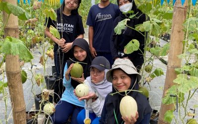 Learning Hydroponic Melon Cultivation Techniques at Farmhill Solo, Undip FPP Agroecotechnology Students Are Very Enthusiastic