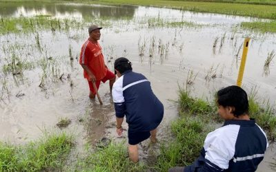 Pengabdian Masyarakat Interaksi Dosen – Mahasiswa KKN melalui Kegiatan “Klinik  Tanah” sebagai Dasar Produksi Tanaman Pangan Berkelanjutan Guna Mendukung SDGs 2
